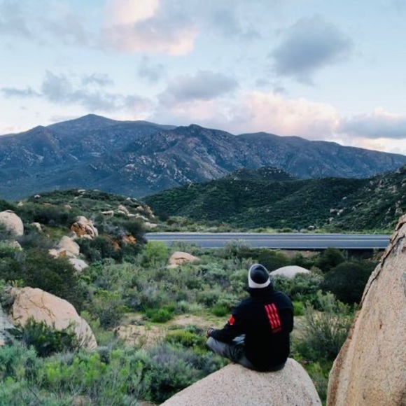 Meet your Posher, Brentley - Picture 1 of 1